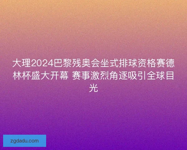 大理2024巴黎残奥会坐式排球资格赛德林杯盛大开幕 赛事激烈角逐吸引全球目光